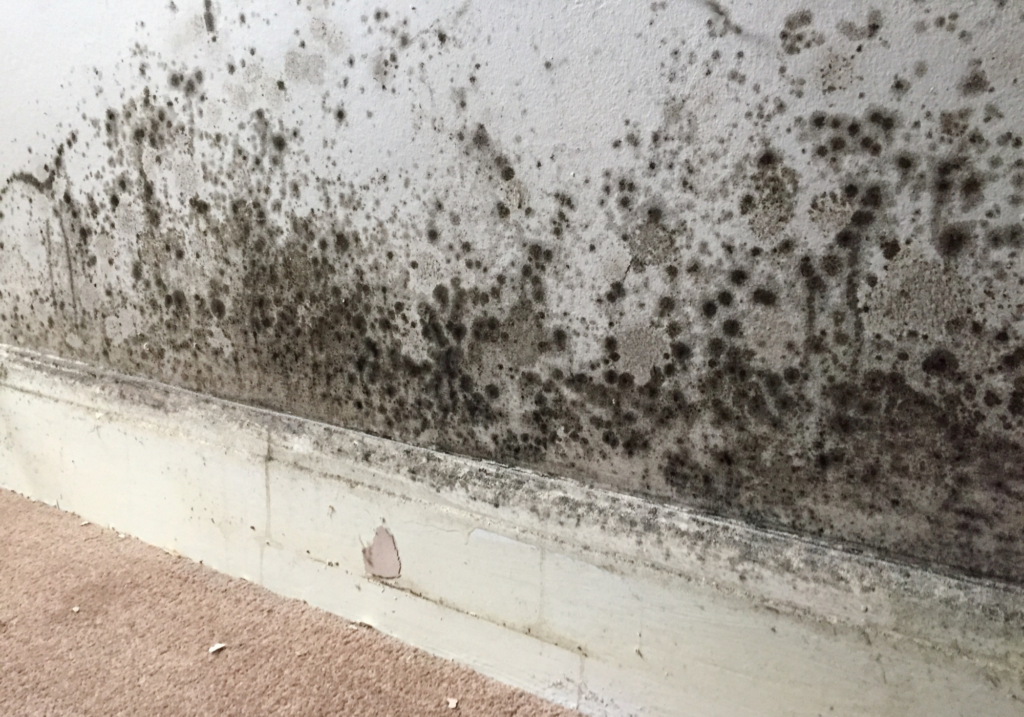 Property Inspections for UK Landlords