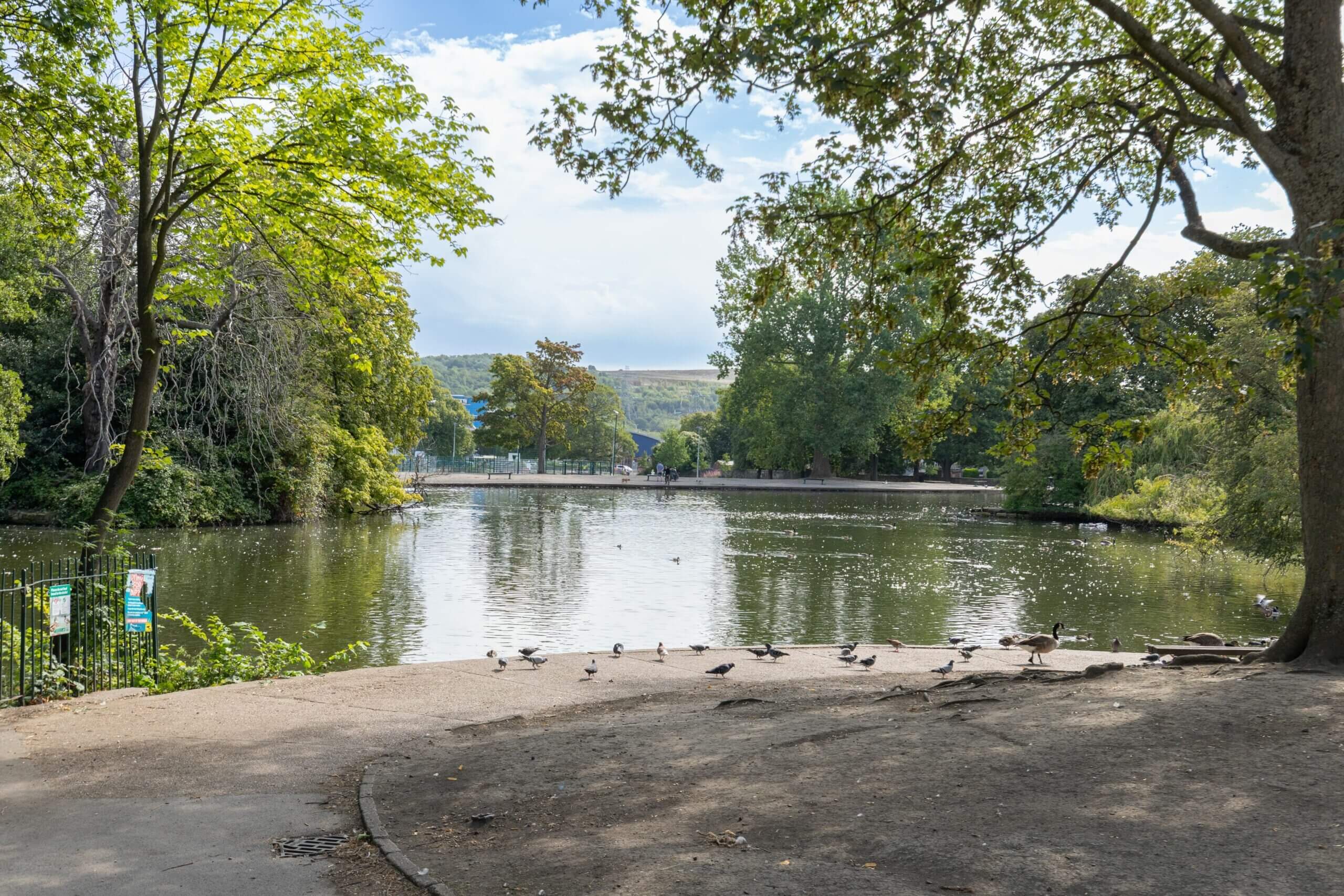 Hillsborough Park